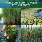 Lake Weed Cutter, 37" Lake Rake Aquatic Pond Plant Cutting Tool，Pond Rake with 3 Adjustable Cutting Angles, 30ft Thicker Rope, Sharp Blades Shear Cattail, Reed, Phragmites Lilly & Chara Algae