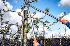 Original LÖWE Professional Anvil Lopper Garden Tools 22.080 | Use as Pruners, Garden Shears, Pruning Shears for Gardening | For cutting branches, twigs, trees & shrubs | 31.5 inches | Made in Germany