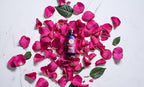 Woolzies Best Natural Rose Essential Oil Blend 4 Oz - Therapeutic & Premium Graded Aromatherapy Oil - Most Popular for Relaxation, & Skin Use - for Diffusion & Topical Use