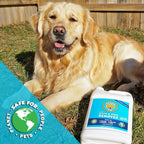 Pro Strength Carpet Odor & Stain Remover Works Like Magic in a Bottle on Tough Urine Feces Vomit and Even red Wine Too! 24 fl.oz