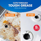 Lysol Pro Kitchen Spray Cleaner and Degreaser, Antibacterial All Purpose Cleaning Spray for Kitchens, Countertops, Ovens, and Appliances, Citrus Scent, 22oz (Pack of 2)