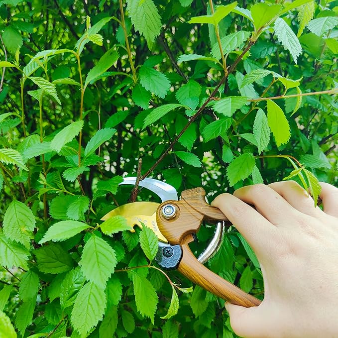 Gardening Tool Set Including Hand Trowel, Transplant Trowel, Cultivator Hand Rake, Pruning Shears and Weeder, Non-Slip Rubber Grip (5 pcs Orange)