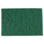 Royal S960 Medium-Duty Scouring Pad, 6 x 9, Green (Case of 60)