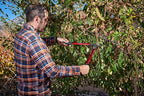 Corona AL 8350 MAX Forged ClassicCUT Bypass Loppers, 22 Inch, Red