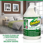OdoBan Professional Disinfectant and Odor Eliminator Concentrate, Made in the USA, Original Eucalyptus Scent, 4-Pack, 1 Gallon Each