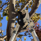 MLTOOLS Ratcheting Extendable Bypass Lopper for Gardening - Heavy Duty Ratchet Lopper 39½" Extendable Long Handle – Chops Through 1-3/4” thick Branches – Ideal for All Gardening Enthusiasts - L8230