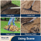 Yocada Thatch Rake 15.7" Steel Lawn Thatching Rake Heavy Duty Grass Grooming Tool for Garden Yard Soil Loosening Lawn Cleaning 62" Tall