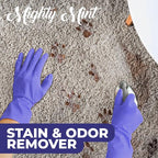 Mighty Mint Stain & Odor Remover, Natural Enzyme Spray Safely Neutralizes Odor and Stains from Dogs, Cats on Carpet, Furniture, Natural Peppermint Scent, 16oz