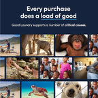 Unscented Detergent Sheets (60 Loads) – Hypoallergenic, Eco-Friendly Laundry Solution – Plastic-Free Packaging, Zero-Waste, Biodegradable – Gentle on Sensitive Skin – Based in the USA