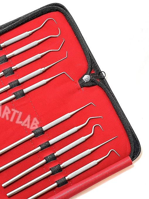 Premium Set of 12 Stainless Steel Precision Micro Probe Set Combo-Straight, Single, Short Double, Long Double, Triple and Hook Tips -Pick Tool Set 5.5"(14CM) (Set of 10 Each)