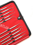 Premium Set of 12 Stainless Steel Precision Micro Probe Set Combo-Straight, Single, Short Double, Long Double, Triple and Hook Tips -Pick Tool Set 5.5"(14CM) (Set of 10 Each)