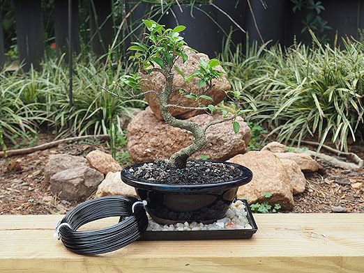 Anodized Aluminum 1.5mm Bonsai Training Wire 250g Large Roll (170 feet) - Choose Your Size and Color (1.5mm, Black)