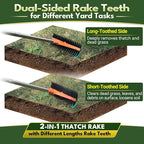 Thatch Rake for Lawns 18 Sharp Tempered Spring Steel Tines Dethatcher Rake Heavy Duty Dethatching Rakes with 62.5" Adjustable Stainless Steel Handle for Lawn Care，Dead Grass, Garden, Yard