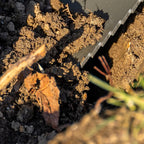 Radius Garden 23211 Root Slayer Round Head Shovel XL, Red