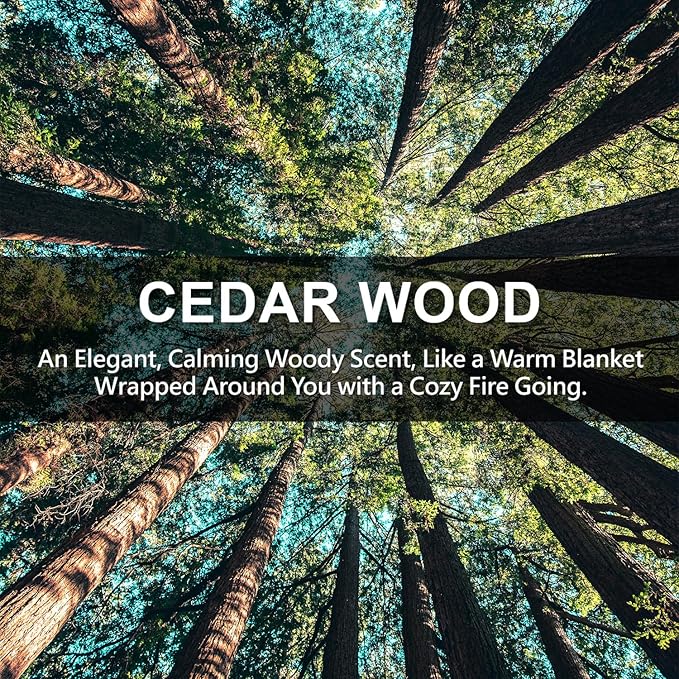 Large 12 Packs Cedar Wood Hanging Closet Deodorizer Air Freshener Long Lasting Scented Sachets Smell Goods for House
