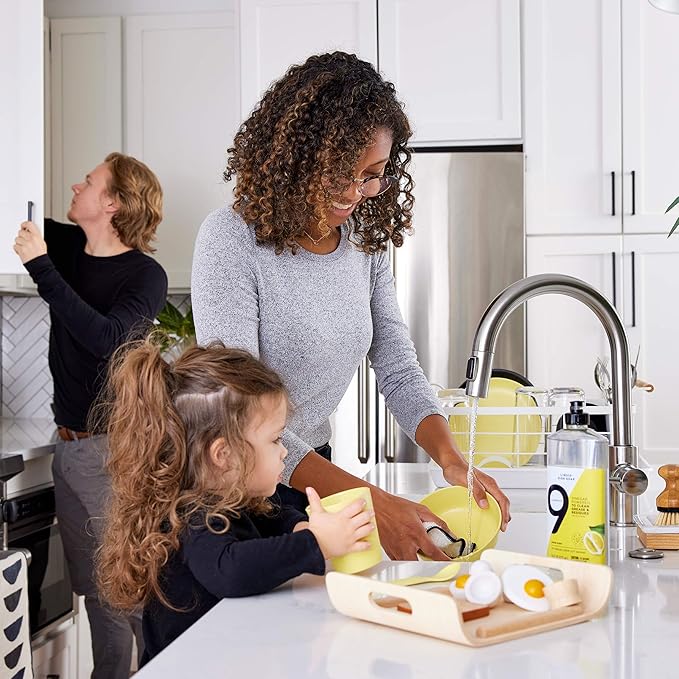 9 Elements Dishwashing Liquid Dish Soap, Eucalyptus Scent Cleaner, 16 oz Bottles (Pack of 3)