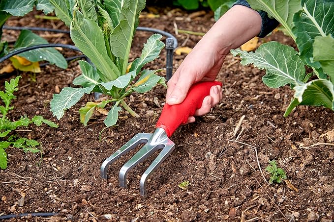 Corona CT 3030I Comfort Cultivator