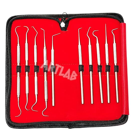 Premium Set of 12 Stainless Steel Precision Micro Probe Set Combo-Straight, Single, Short Double, Long Double, Triple and Hook Tips -Pick Tool Set 5.5"(14CM) (Set of 10 Each)