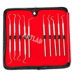 Premium Set of 12 Stainless Steel Precision Micro Probe Set Combo-Straight, Single, Short Double, Long Double, Triple and Hook Tips -Pick Tool Set 5.5"(14CM) (Set of 10 Each)