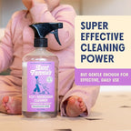 Aunt Fannie's Toy and Highchair Cleaner, Hypoallergenic, Multi-Purpose Spray Powered by Vinegar for Toys, High Chairs, Car Seats, Swings, Counters, and Other Hard Surfaces Fragrance Free, Pack of 1