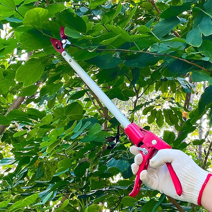 Tree Trimmer, 2 Foot Pole Pruner, Long Reach Pruning Shears, Cut and Hold Garden Clippers, Aluminum Lightweight Handle Fruit Picker, Branch Bypass Loppers