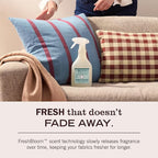 MRS. MEYER'S CLEAN DAY Fabric Freshener, Birchwood Scent, 20 Ounce Bottle