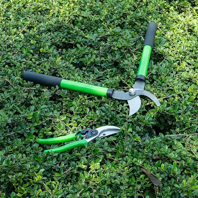 Pro Pruning Shears - Heavy Duty Garden Shears with SK-5 Steel Blades, Ergonomic Non-Slip Handle Tree Branch Cutter & Flower Arranging Tool