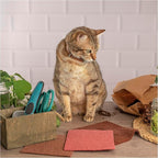 SUPERSCANDI 6 Pack Swedish Dishcloths for Kitchen - 100% Biodegradable & Compostable Reusable Paper Towels Washable, Food-Safe & Without Plastic - Dish Rags Suitable for Any Surface, Red