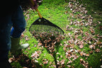 Fiskars Solid Leaf Rake XL, 27 prongs, Width: 65 cm, Plastic prongs/Aluminium Handle, Black/Orange, 1015645