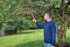 CRAFTSMAN Folding Hand Saw, 8 in. Blade, Compact Design, for Camping, Pruning, Cutting Wood, Branches or Brush