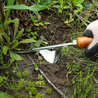 Weed Puller Heavy Duty Japanese Steel with Wood Handle, Hand Weeding Tool, Manual Weeder for Garden, Quick and Easy Weed Pull Tool, Made in Japan, Silver
