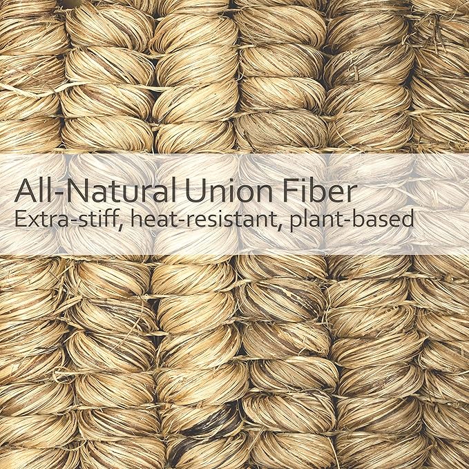 REDECKER Natural Fiber Bristle Pot Brush - Untreated Beechwood Handle - Heat-Resistant Union Fiber Head for Cleaning Pots, Pans and More - 2-1/2 inch Diameter - Set of 2 - Boar Bristle Dish Brush